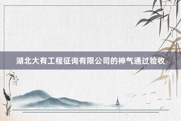 湖北大有工程征询有限公司的神气通过验收