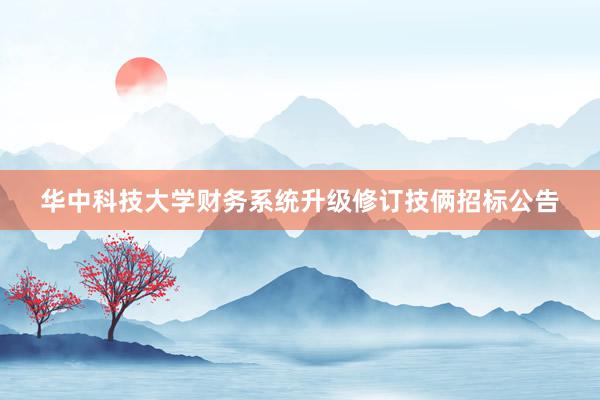 华中科技大学财务系统升级修订技俩招标公告