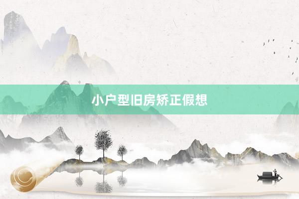 小户型旧房矫正假想